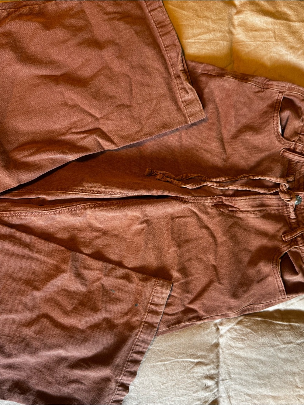 American Eagle Outfitters Wide Leg Pants in Rust